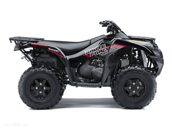 Kawasaki Brute Force - 7