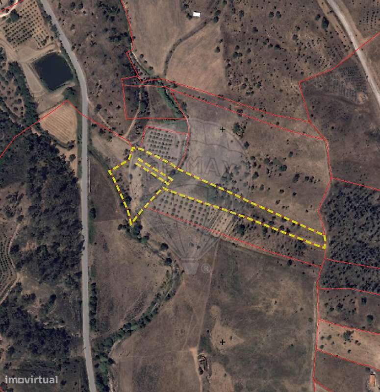 Quinta T4 para venda-20