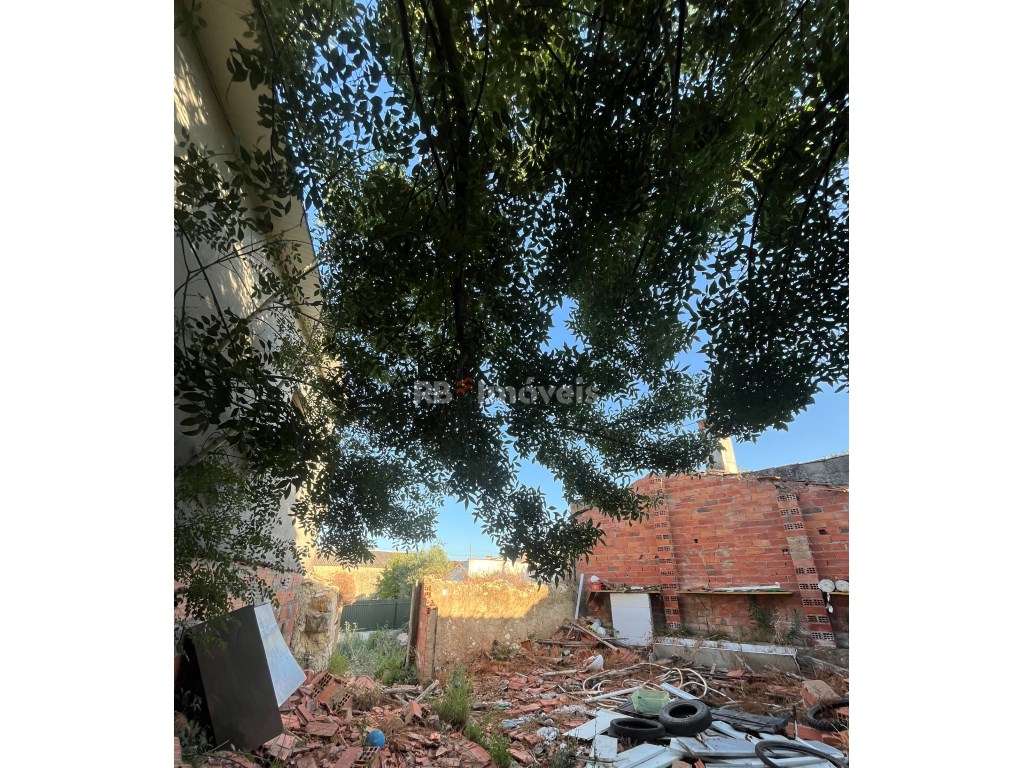 Armazém amplo com 240m2 em Carrazede - Tomar - Grande imagem: 4/4