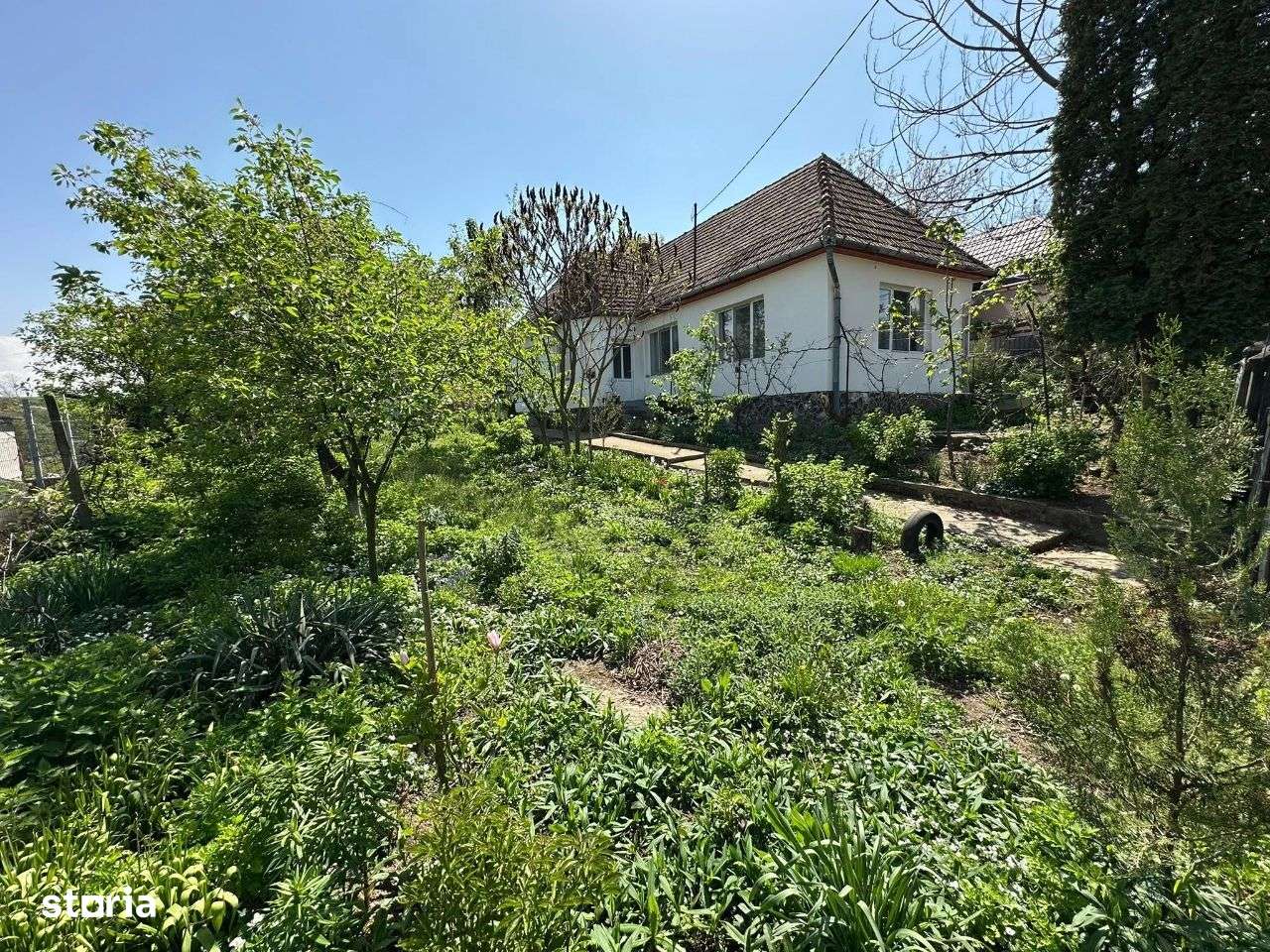 Casă DE VÂNZARE Str: Florilor Adămuș - Imagine principală: 1/19
