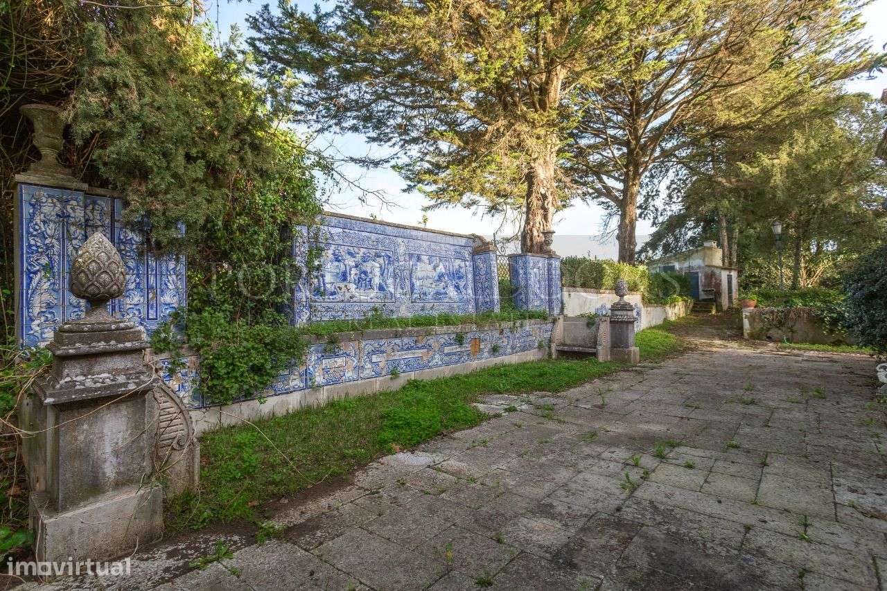 Quinta 5Ha em Azeitão-19