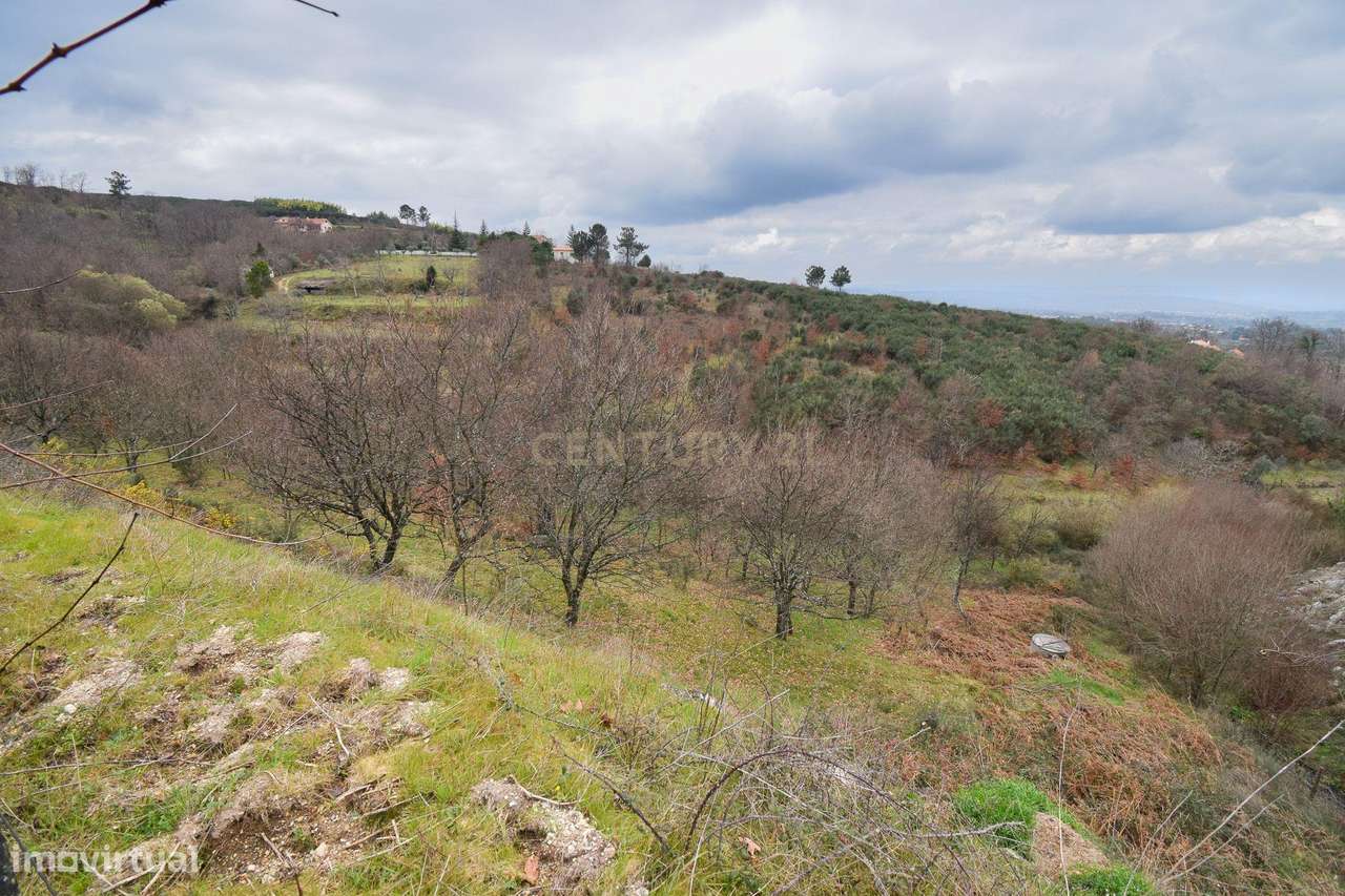 Quinta com construção em Pedra 20.000 m2 de terreno e Licença de Aloja-34