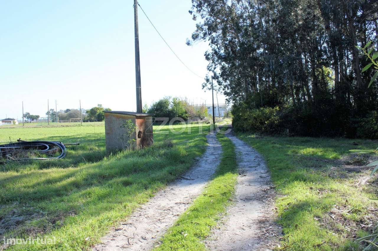 Terreno na Torreira, Murtosa - Grande imagem: 2/9