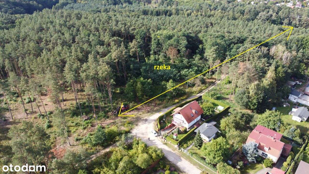 Działka w otoczeniu lasu blisko rzeki - Pełny obrazek: 5/6