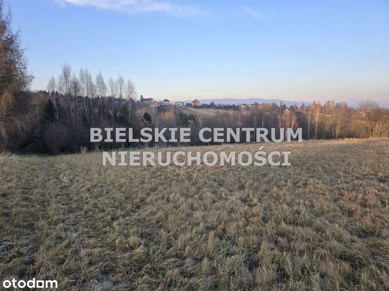 Działka, 10 300 m², Lipowa-8