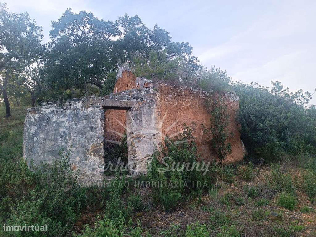 Terreno com Ruina - Grande imagem: 3/20