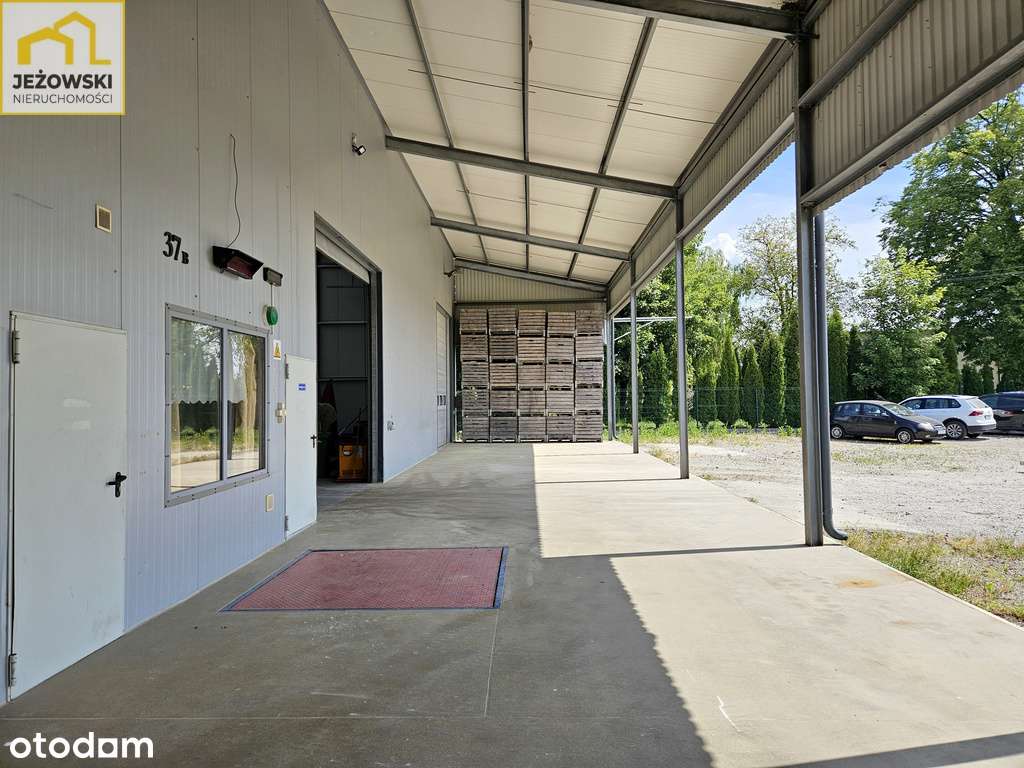 Budynek produkcyjno-biurowy/hala 660mkw z chłodnią - Pełny obrazek: 4/20