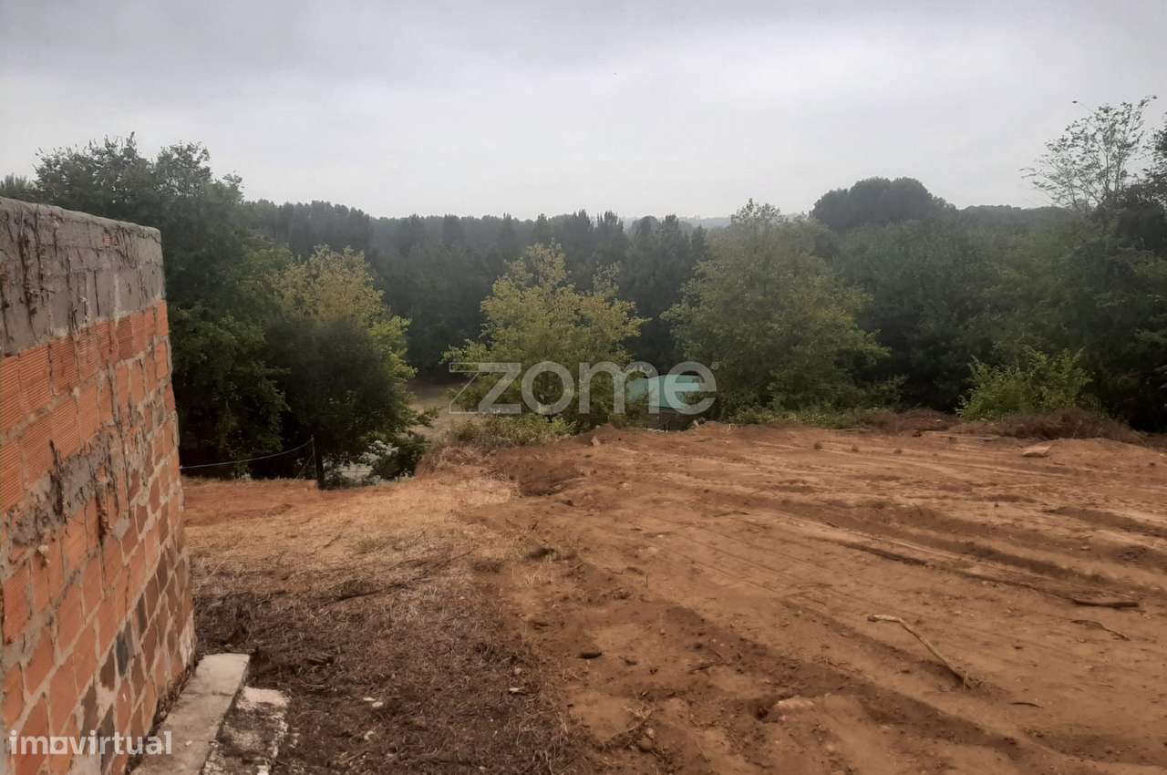 Terreno Rústico em Travassô - Grande imagem: 4/23