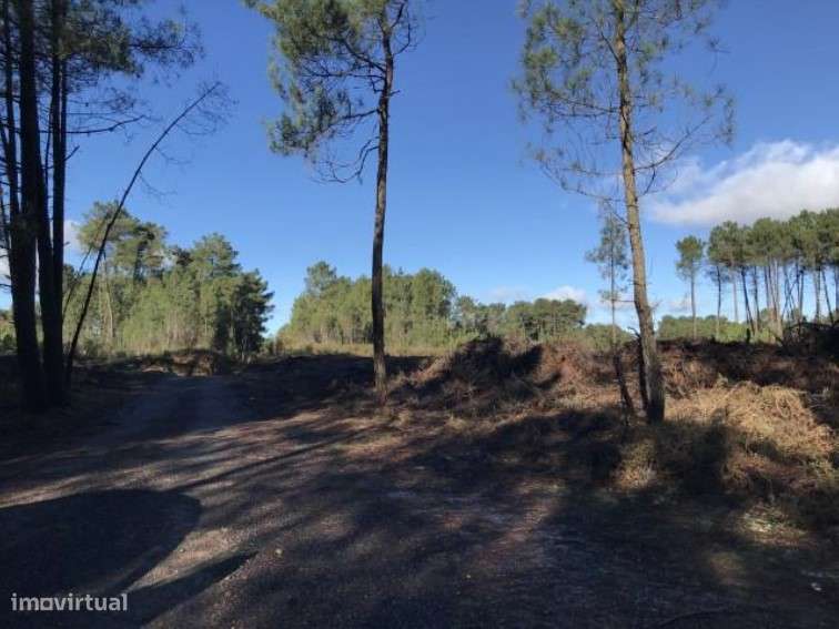 Terreno em Vila Real - Grande imagem: 3/4