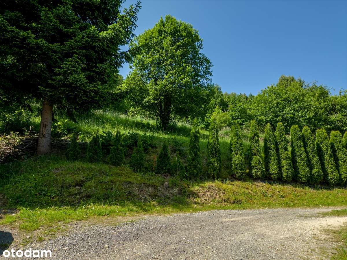 Mała i tania działka budowlana, widoki, zieleń, prąd, oferta prywatna. - Pełny obrazek: 4/6
