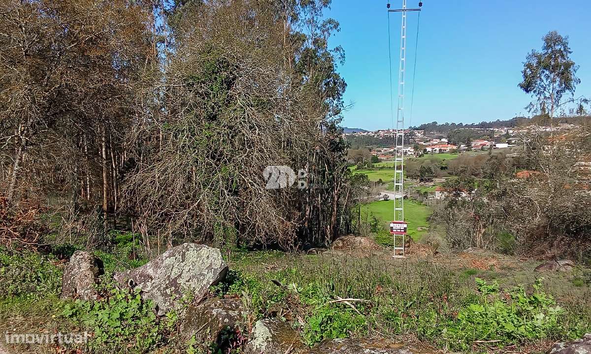 Quinta 40.019m² - Arnoso Stª Eulália - Grande imagem: 5/15