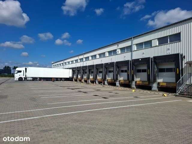 Na sprzedaż magazyn typu cross-dock w Bydgoszczy-1