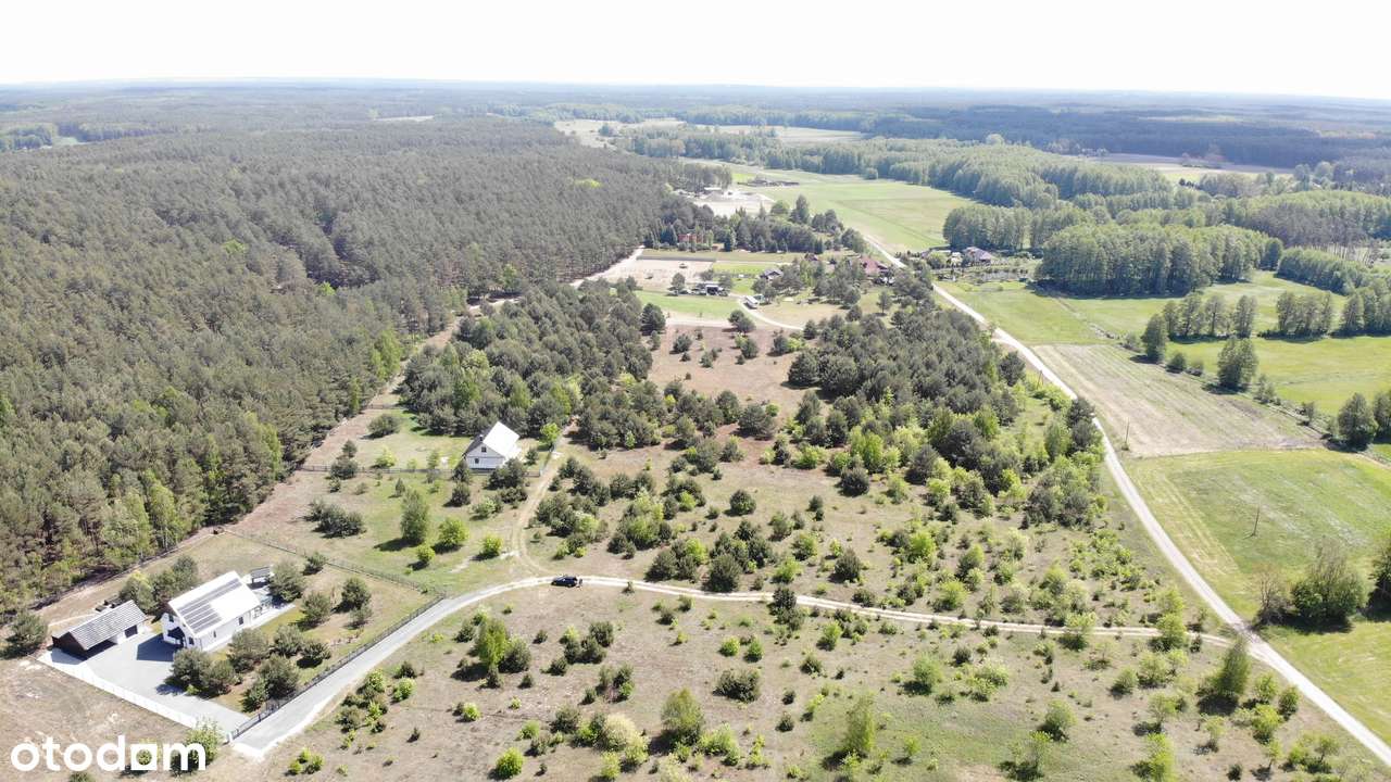 Miedzichowo, ul. Szparagowa - działka w lesie - Pełny obrazek: 4/7