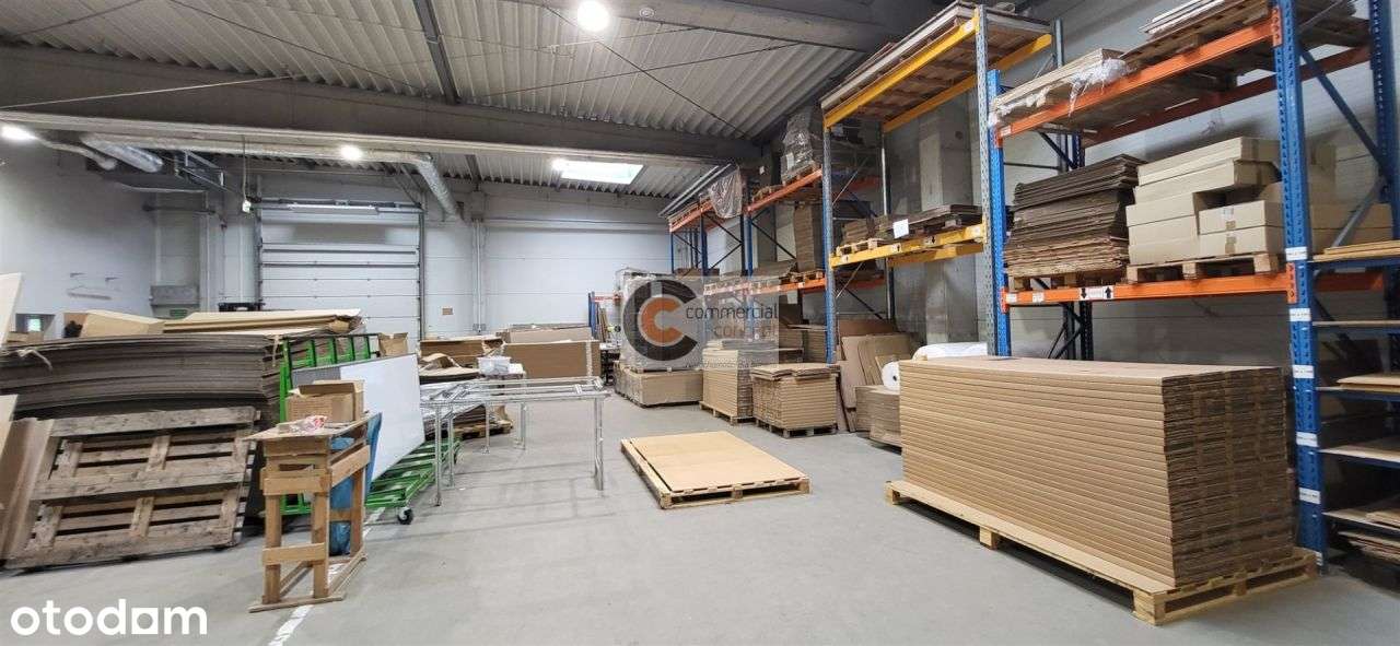 Hala magazynowo-produkcyjna z placem składowym - Pełny obrazek: 5/12