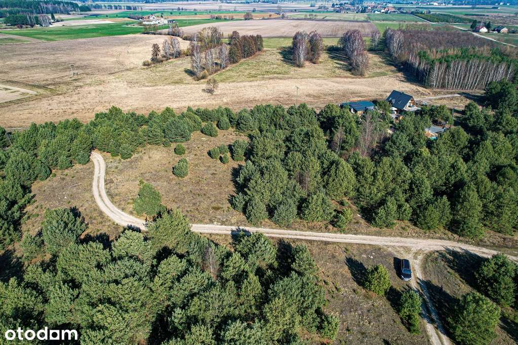 Działka, 1 623 m², Krupocin-5
