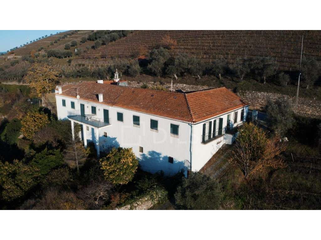 Quinta de Santo António em Peso da Régua, Douro - Grande imagem: 5/50