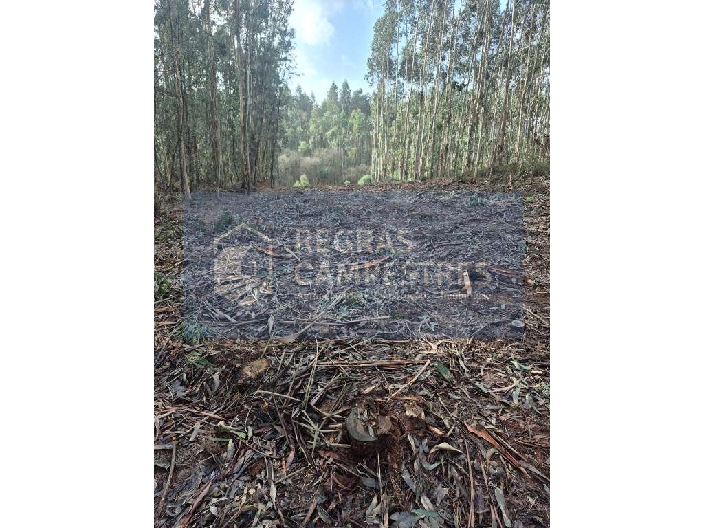 TERRENO RÚSTICO C/ VIABILIDADE DE CONSTRUÇÃO INDUSTRIAL 
BARRÔ - Á...-3