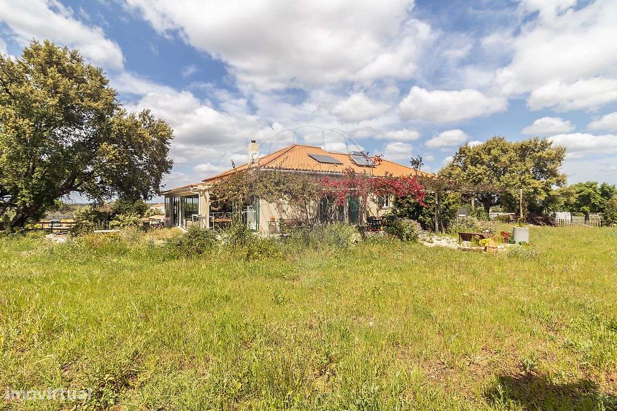 Quinta T4 para venda-38
