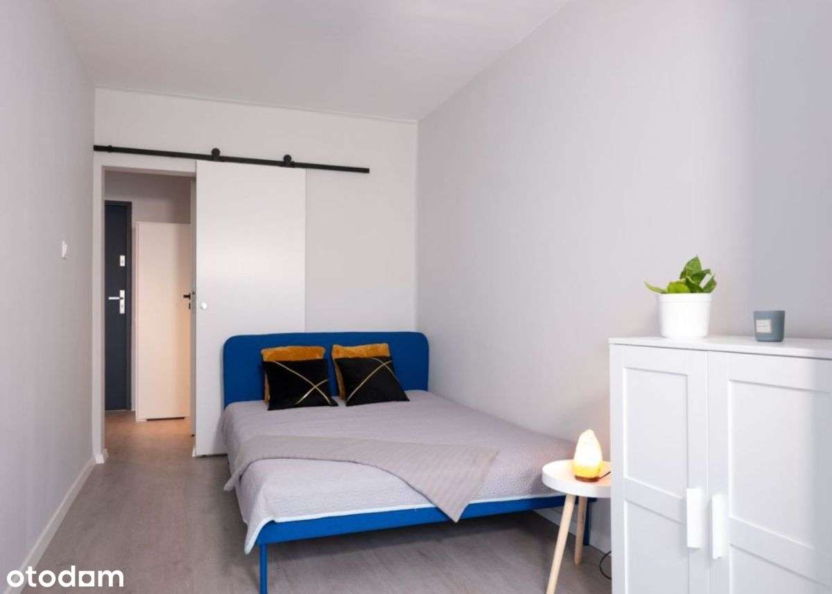 Po Generalnym Remoncie | Piwnica | Lokalizacja |-6