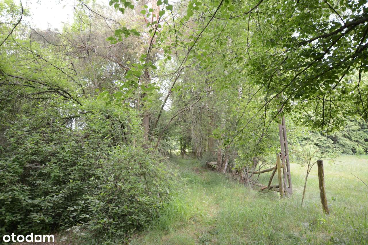 Podlasie, urocze siedlisko ze stajnią - Pełny obrazek: 4/18