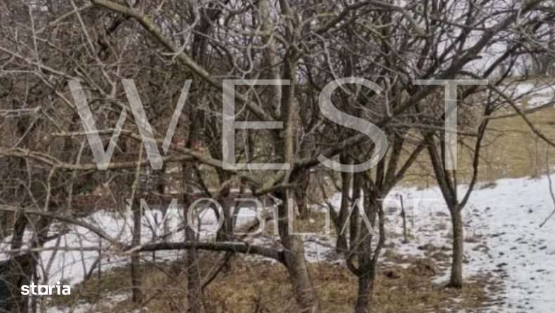 Teren intravilan in Popesti Cluj| 2800MP| Zona de case/duplex| - Imagine principală: 1/1