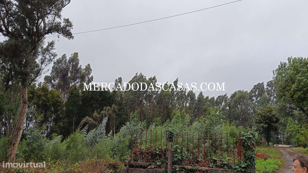 Terreno em Nogueira da Regedoura - Grande imagem: 2/6