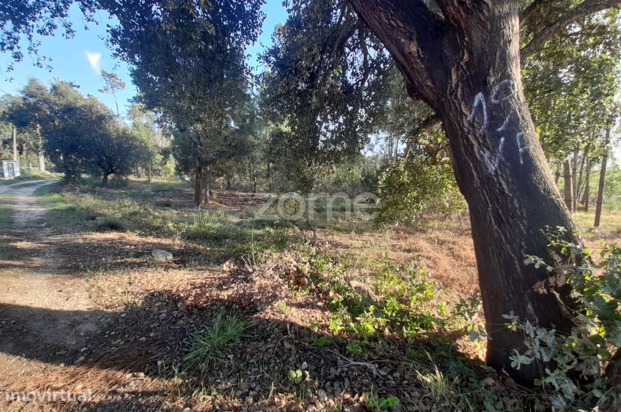 Terreno Rustico - Grande imagem: 3/28