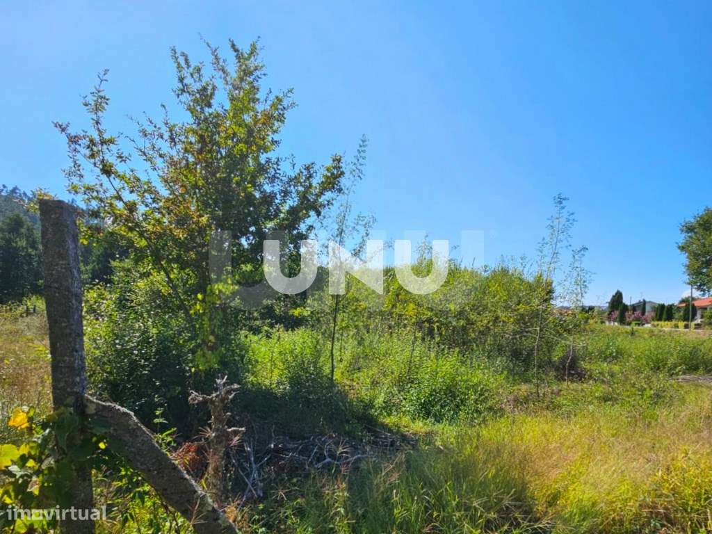 Terreno Rústico - Possibilidade de Construção - Grande imagem: 3/6