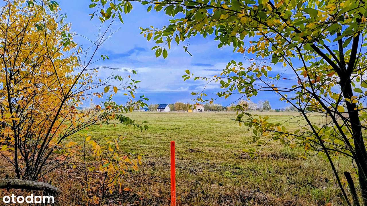 Tam, gdzie brzozy i las tworzą domowy klimat - Pełny obrazek: 5/20