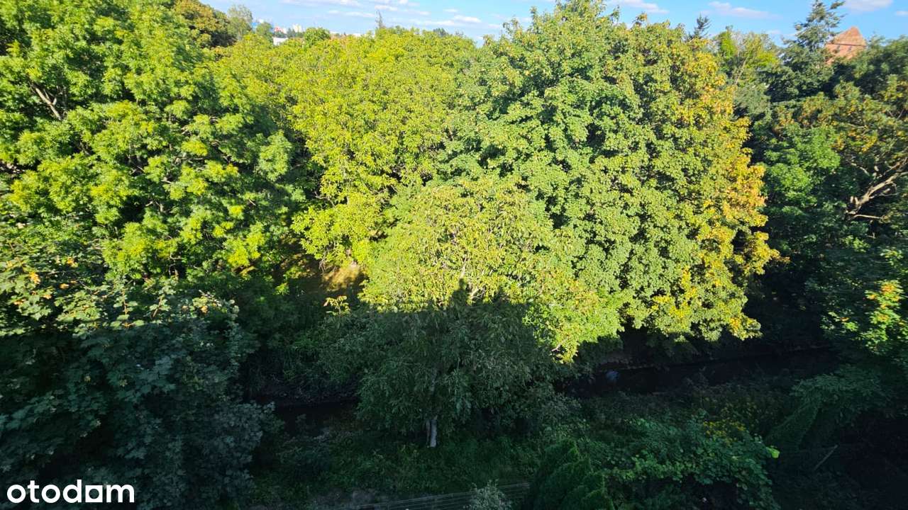 OKAZJA 81m2 TARAS 30m2+ 2 balkony dwa poziomy miejsce parkingowe-5