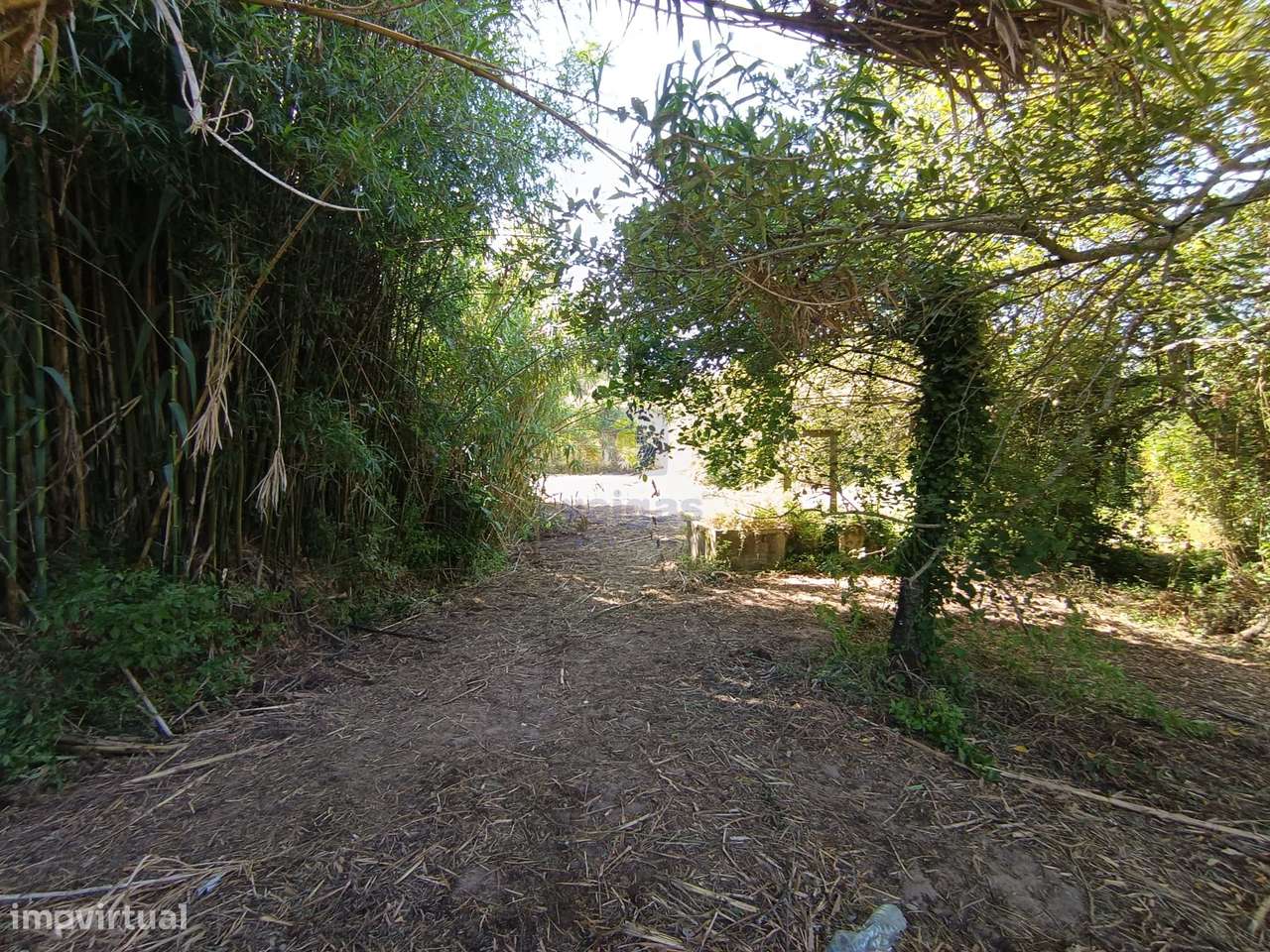 Terreno com 550m2 em Salir do Porto, com possibilidade de construir um - Grande imagem: 5/9