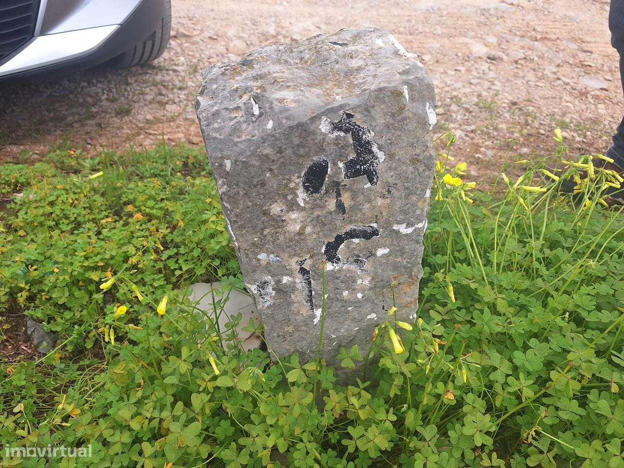 Terreno Rústico nos Funchais de São Brás de Alportel - Grande imagem: 2/5