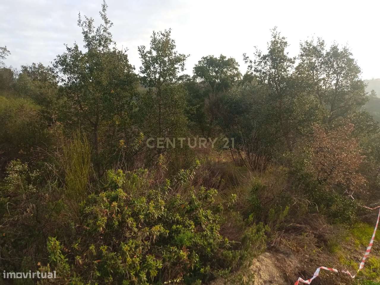 Terreno rustico em Palvarinho - Grande imagem: 5/6