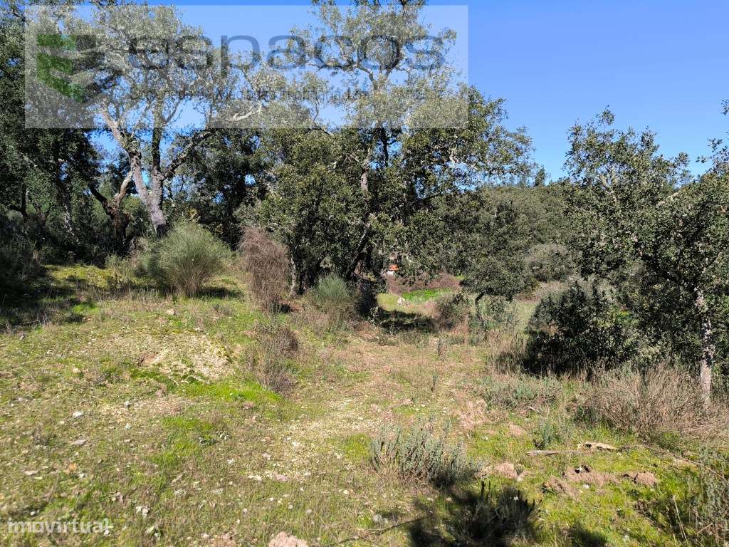 Terreno com casa em pedra e anexos - Palvarinho - Grande imagem: 5/20