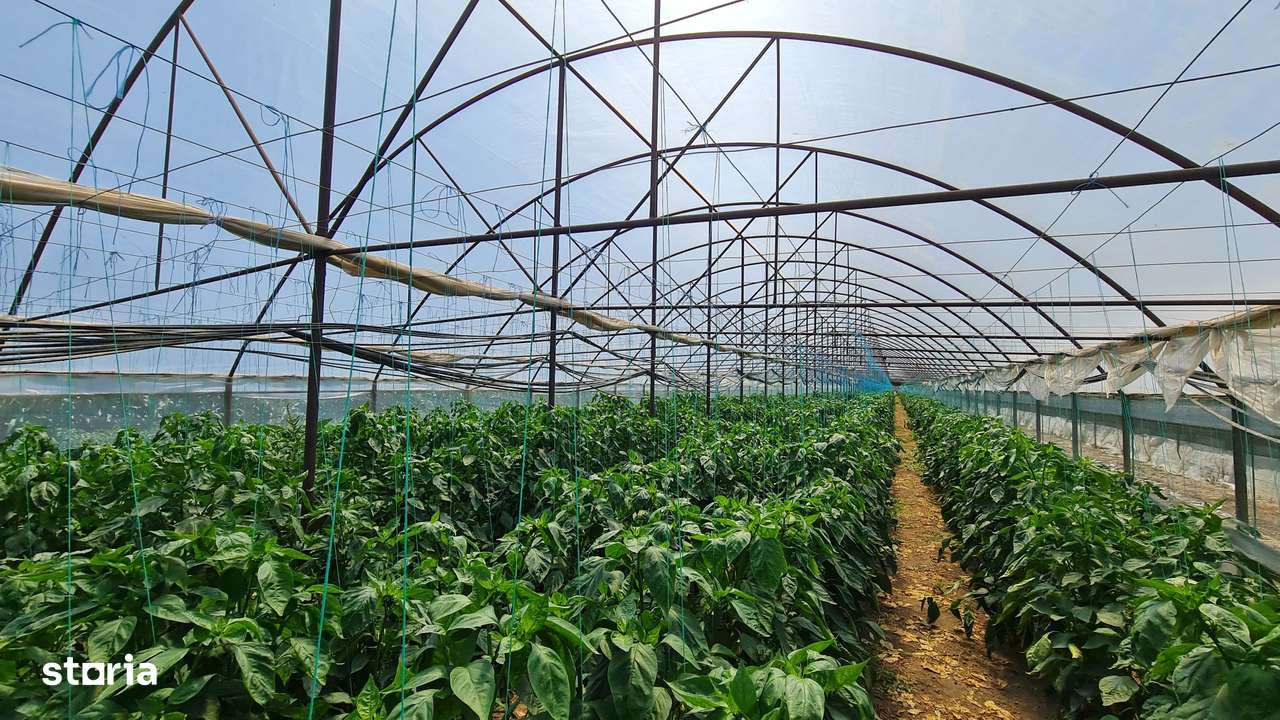 Afacere la cheie! Incasari din prima zi!!! - Imagine principală: 2/10