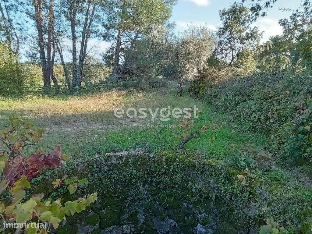 Terreno Rústico excelente localização na aldeia de Póvoa Rio Moinhos - Grande imagem: 5/15