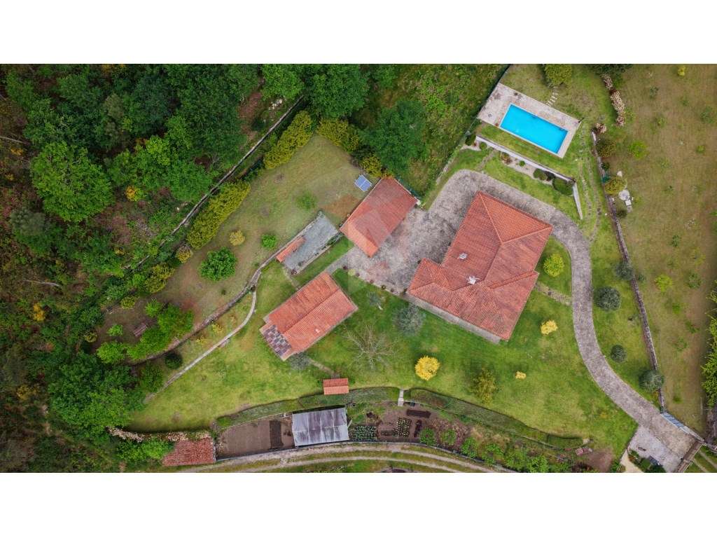 Quintinha com 2 casas -Extraordinária propriedade-9