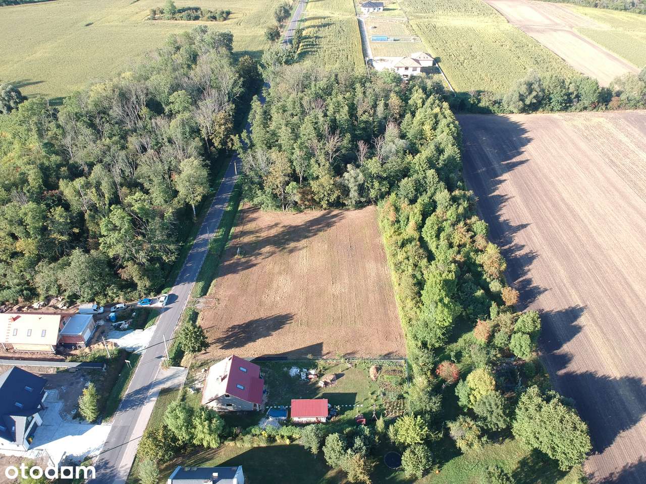 Cudowna działka przy lesie 17a | Gmina Żórawina | Bogunów - Pełny obrazek: 4/7