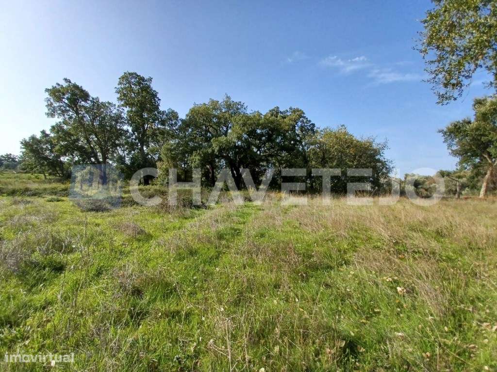 Terreno com 6.280m2 perto de bons acessos. - Grande imagem: 5/15