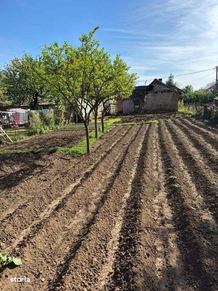 Vand teren cu casa Carei - Imagine principală: 2/4