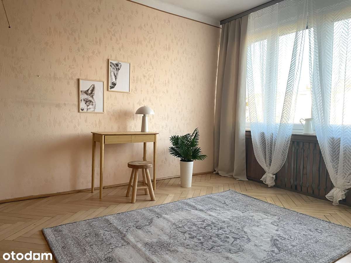 Dwa duże pokoje skąpane słońcem-3