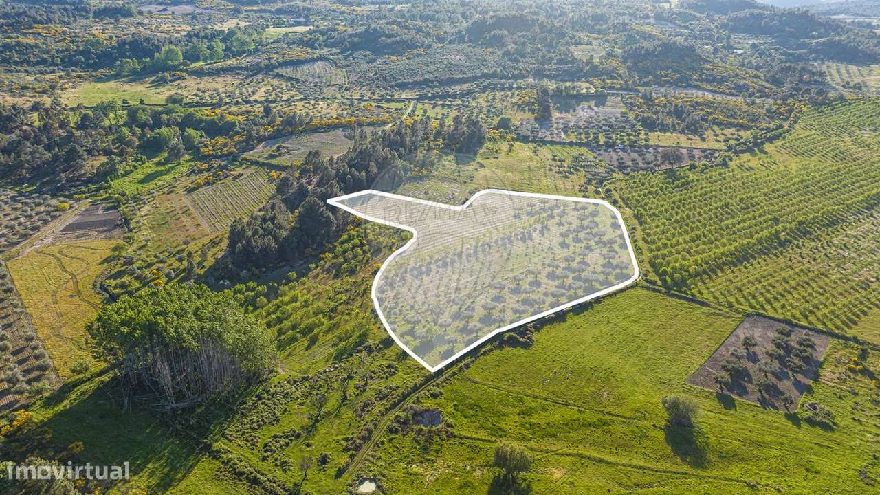 Terreno  para venda - Grande imagem: 4/14