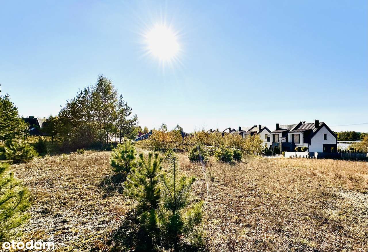 Na sprzedaż: wyjątkowa działka 42 ary – ul. Szkolna, Ruda Wołoska-4