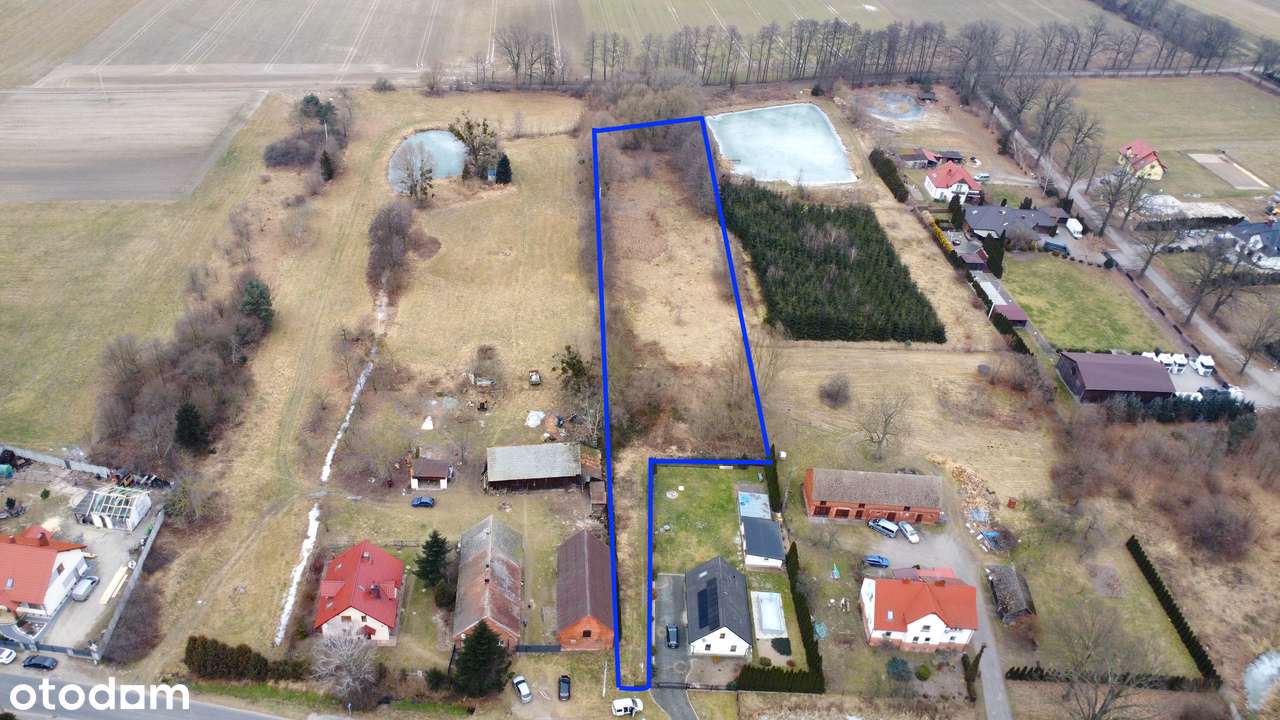 50 arów | Działka budowlana | Ogrodzona | Dojazd asfaltowy  Gogołowice-1