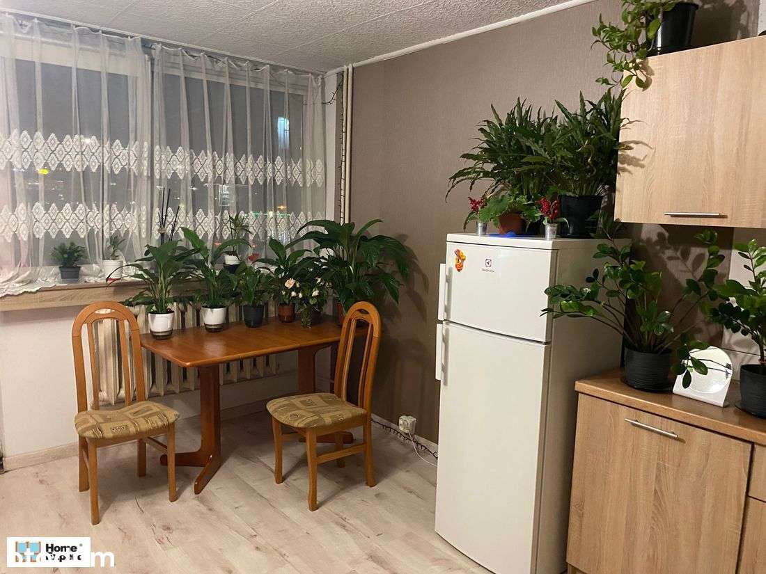 okolice Skweru ELWRO WINDA/BALKON - Pełny obrazek: 4/8