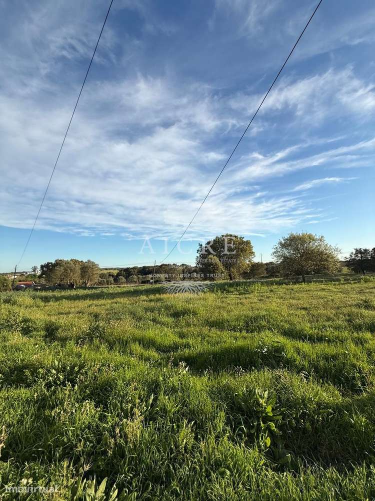 Moradia T2 Térrea com Quintal na Graça do Divor-23