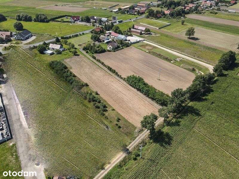 Działka W Zaciszu Z Potencjałem - Pełny obrazek: 5/13