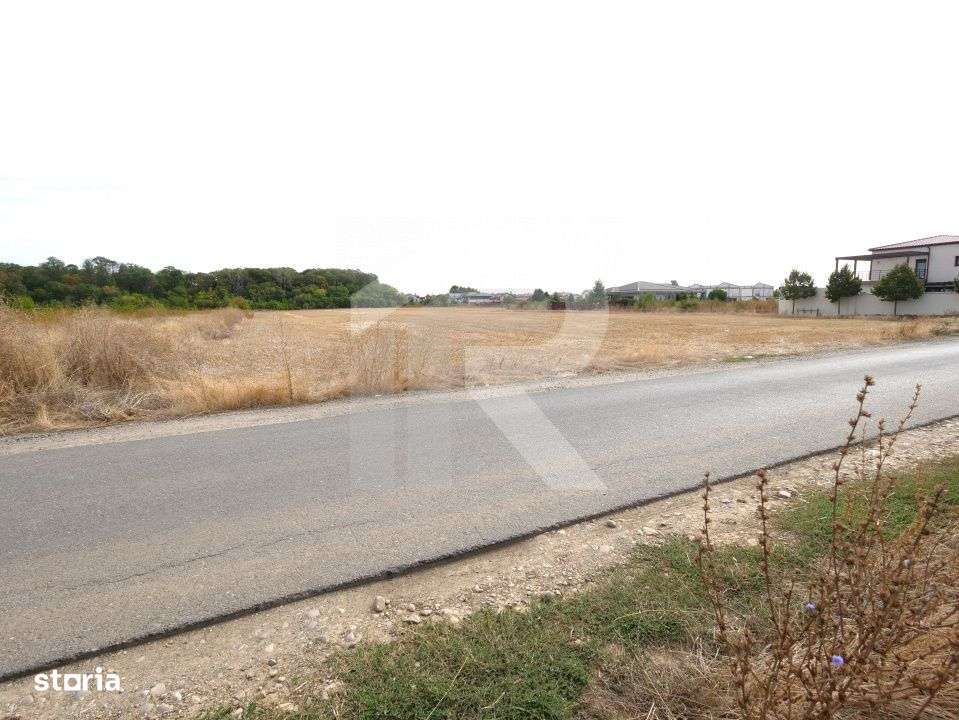 LOTURI PENTRU CASA - 420mp + 89mp drum - Otopeni, Ilfov - IN CURS DE A - Imagine principală: 4/9