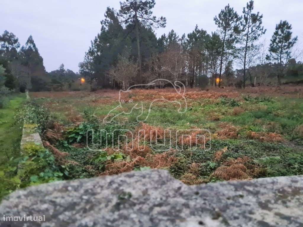 Terreno Vila Fria - Grande imagem: 5/8