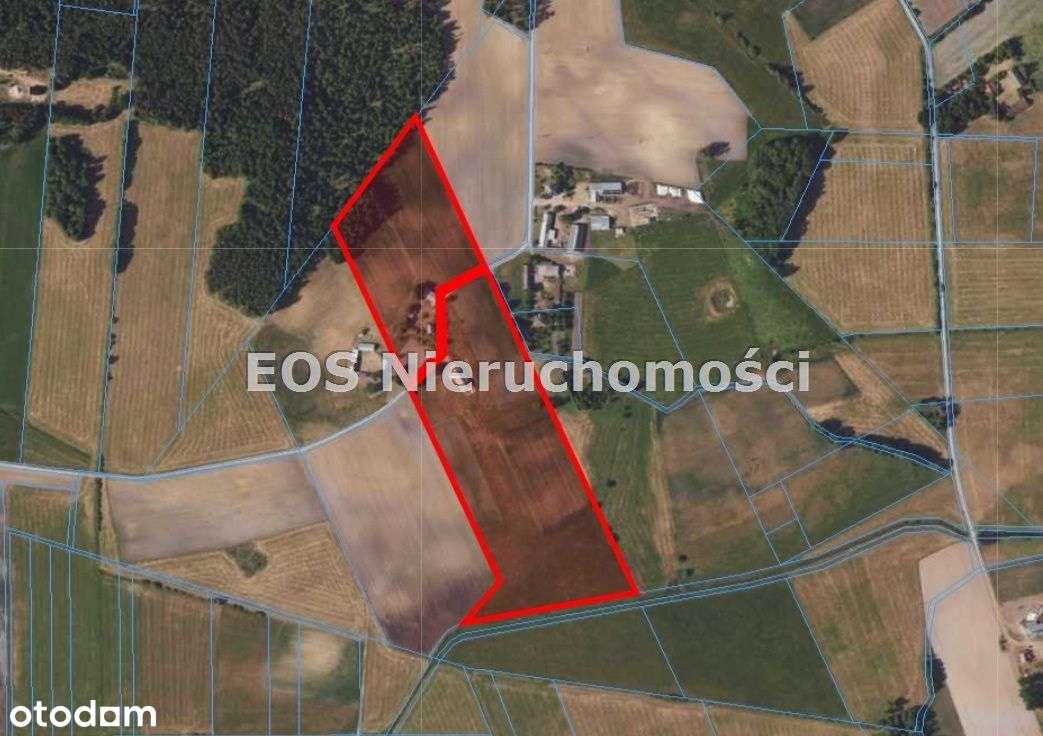 Działka, 78 726 m², Sztabin-1